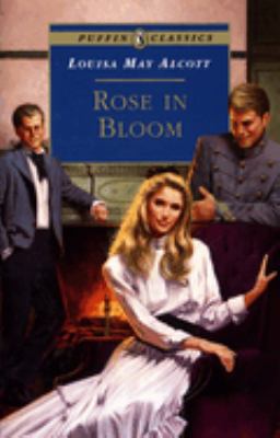 Rose in bloom 