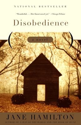 Disobedience : a novel 