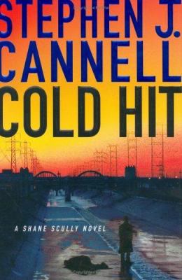 Cold hit : a [Shane Scully novel] 