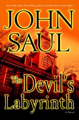 The devil's labyrinth : a novel 