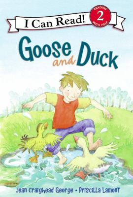 Goose and Duck 