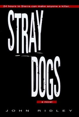 Stray dogs 
