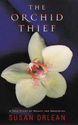 Orchid thief 