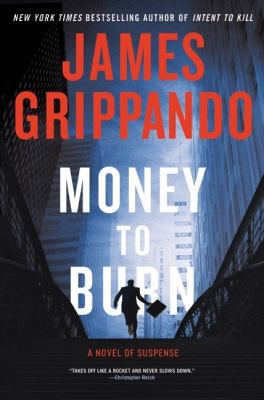 Money to burn : a novel of suspense 