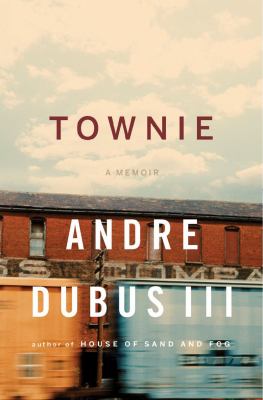 Townie : a memoir 
