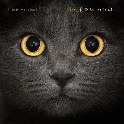 The Life and love of cats 