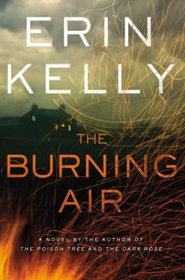 The burning air : [a novel] 