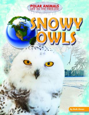 Snowy owls 