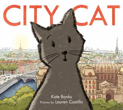 City cat 
