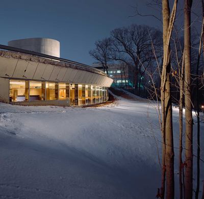 Gunnar Birkerts : metaphoric modernist 