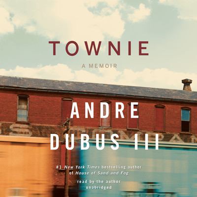 Townie a memoir 