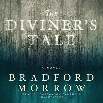 The diviner's tale [a novel] 