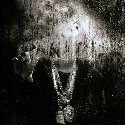 Dark sky paradise 