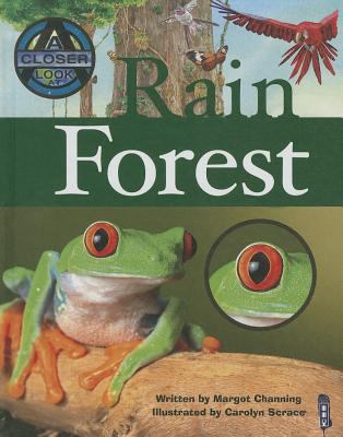 Rain forest 