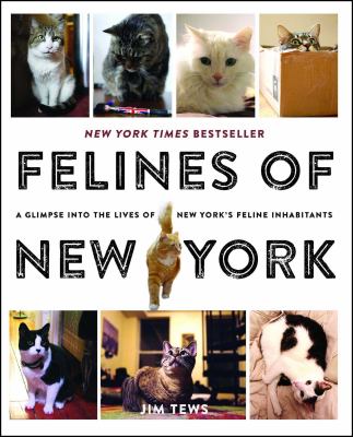 Felines of New York : a glimpse into the lives of New York's feline inhabitants 