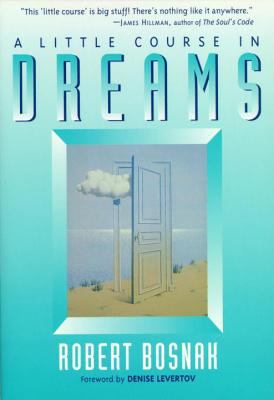 A little course in dreams : [a basic handbook of Jungian dreamwork] 