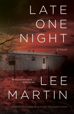 Late one night: a novel