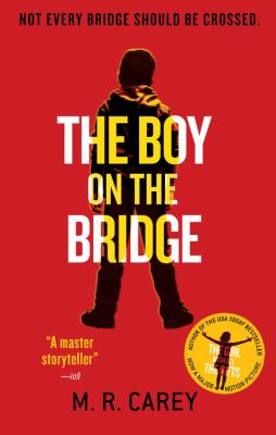The boy on the bridge 