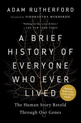 A brief history of everyone who ever lived : the human story retold through our genes 