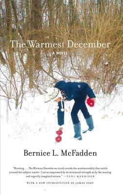 The warmest December : [a novel] 