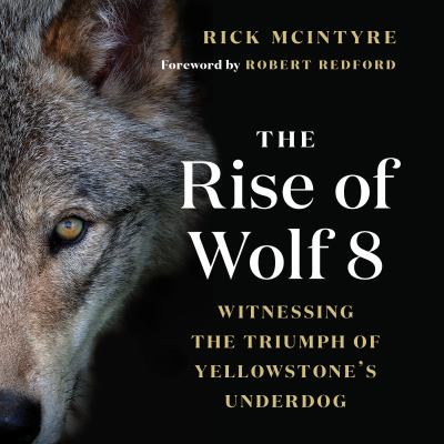 The rise of wolf 8 : witnessing the triumph of Yellowstone's underdog 
