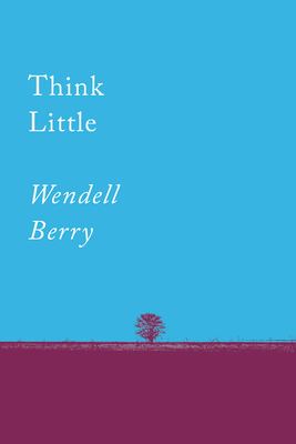 Think little : essays 