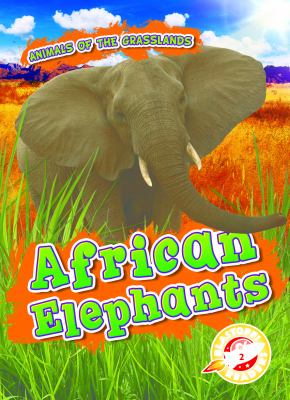 African elephants 