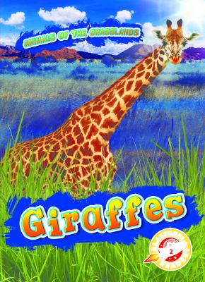 Giraffes 