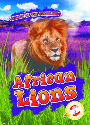 African lions 