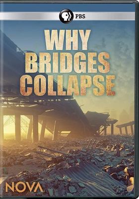 Why bridges collapse 