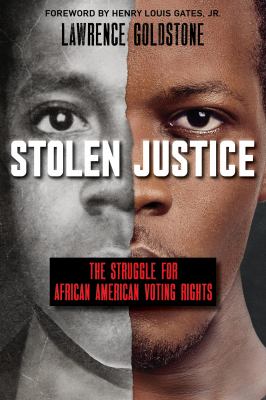 Stolen justice : the struggle for African American voting rights 