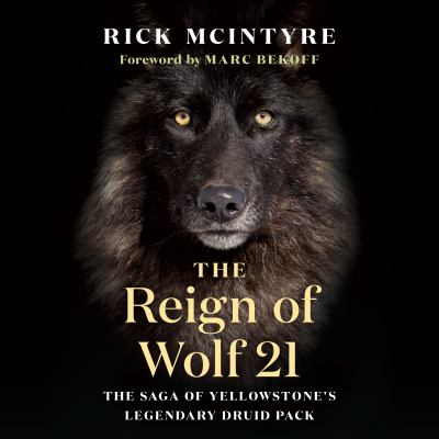 The reign of Wolf 21 : the saga of Yellowstone's legendary druid pack 