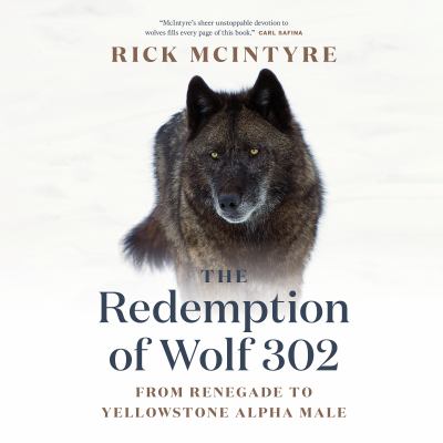 The redemption of wolf 302 : from renegade to Yellowstone alpha male 