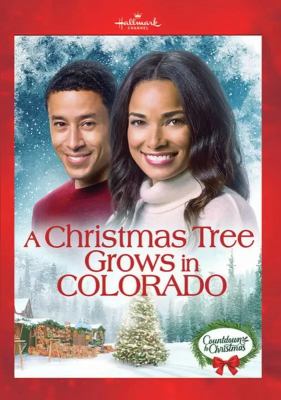 A Christmas tree grows in Colorado 