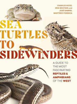 Sea turtles to sidewinders : a guide to the most fascinating reptiles & amphibians of the West 