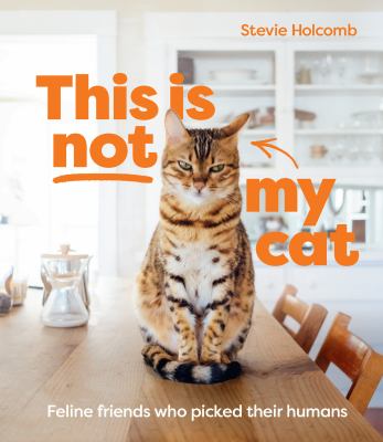 This is not my cat : feline friends who picked their humans 