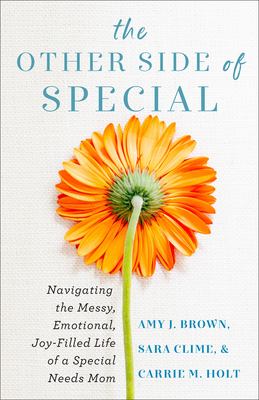 The other side of special : navigating the messy, emotional, joy-filled life of a special needs mom 
