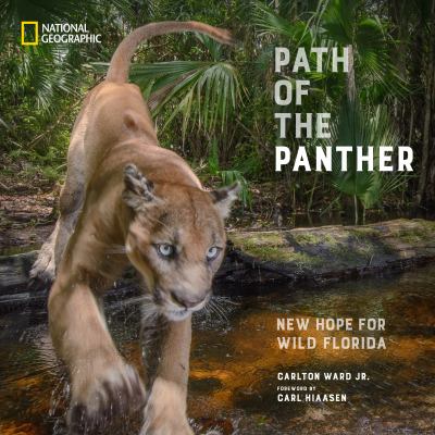Path of the panther : new hope for wild Florida 