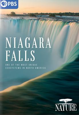 Niagara Falls 