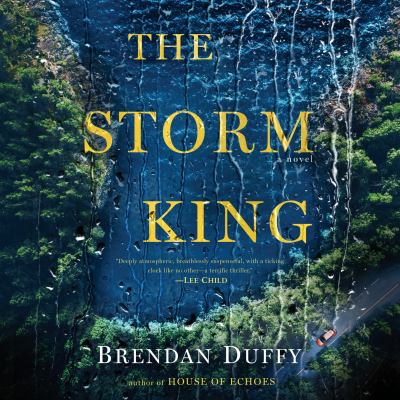 The storm king A novel.