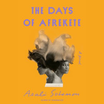 The days of afrekete A novel.