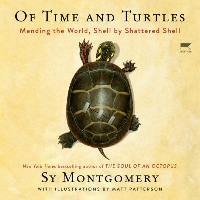 Of time and turtles Mending the world, shell by shattered shell.