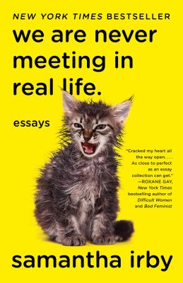 We are never meeting in real life. Essays.