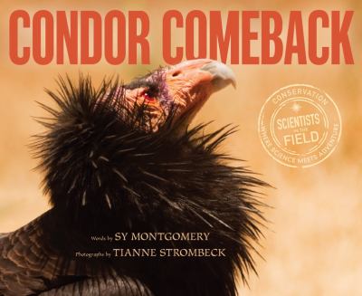 Condor comeback