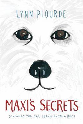 Maxi's secrets (or what you can learn from a dog).