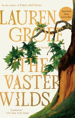 The vaster wilds A novel.