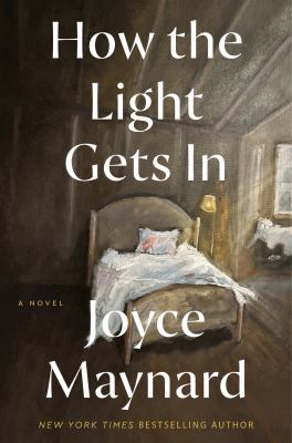 How the light gets in : a novel 