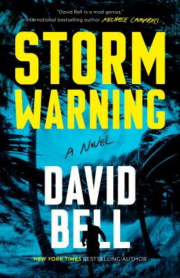 Storm warning : a novel 