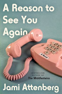 A reason to see you again : a novel 