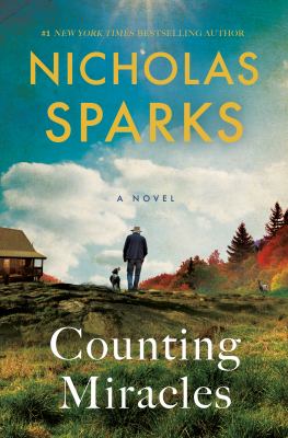 Counting miracles : a novel 
